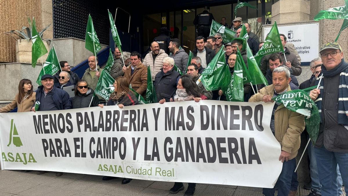 Cerca de un centenar de ganaderos reclaman en Ciudad Real compensaciones por la enfermedad de la lengua azul