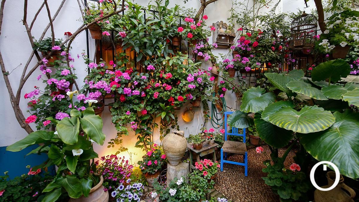 Patio Tafures 2 - 2022