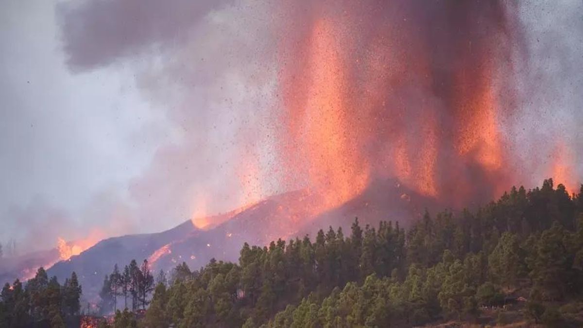 Imagen de archivo de la erupción del volcán  Tajogaite en septiembre de 2021.