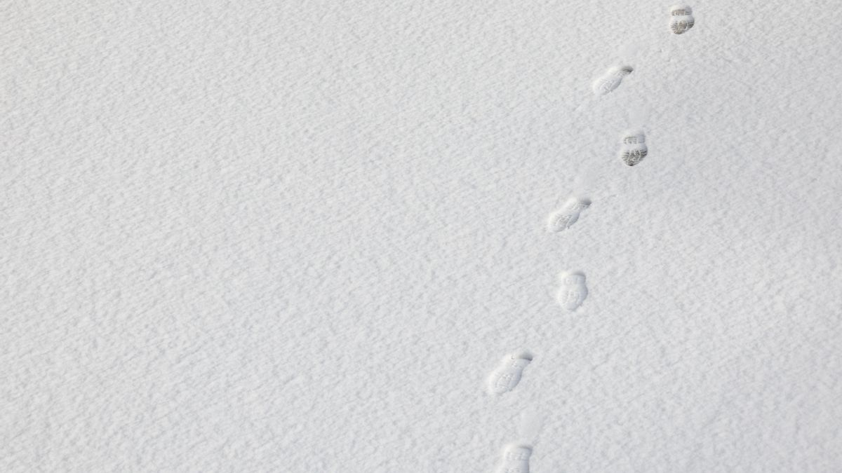 Pisadas sobre la nieve, en una foto de archivo 