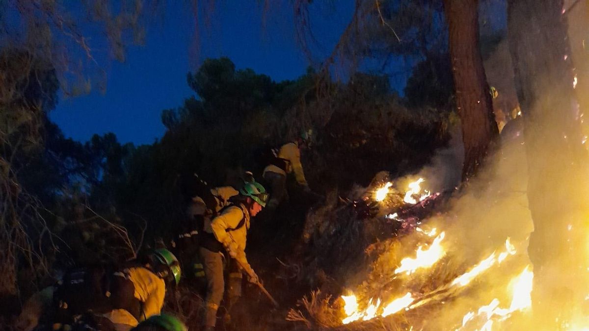 Efectivos del Plan Infoca durante la extinción del incendio de Los Guájares