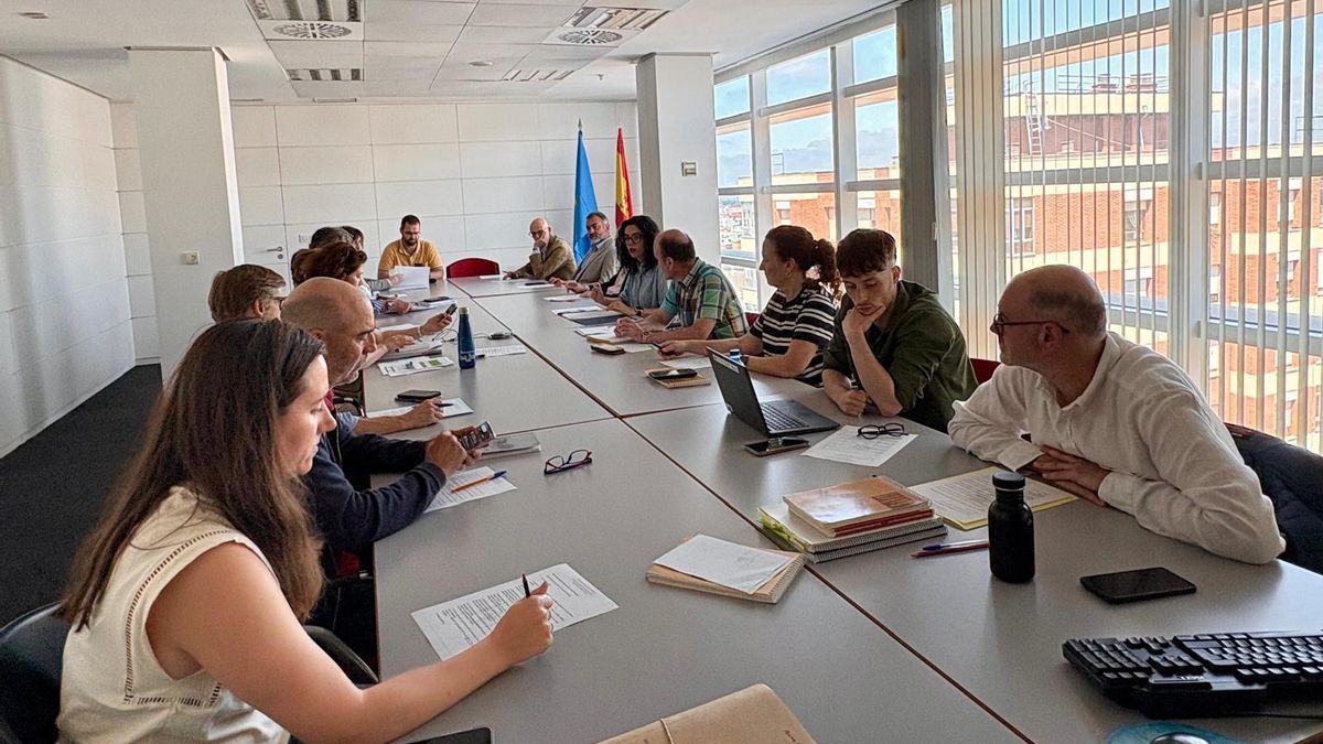 Un momento de la reunión del pleno del Consejo del Patrimonio Cultural de Asturias.