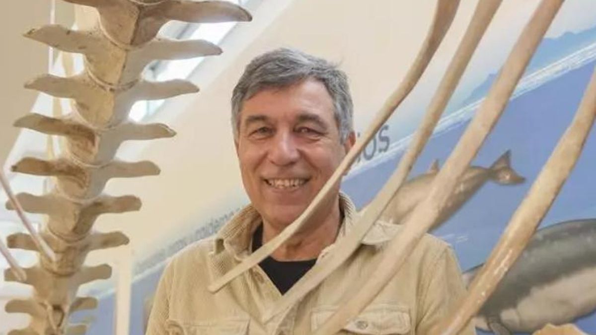 Una variante de la gripe aviar da un salto viral a mamíferos: “No estamos ante una pandemia, pero sí ante señal de alerta temprana”