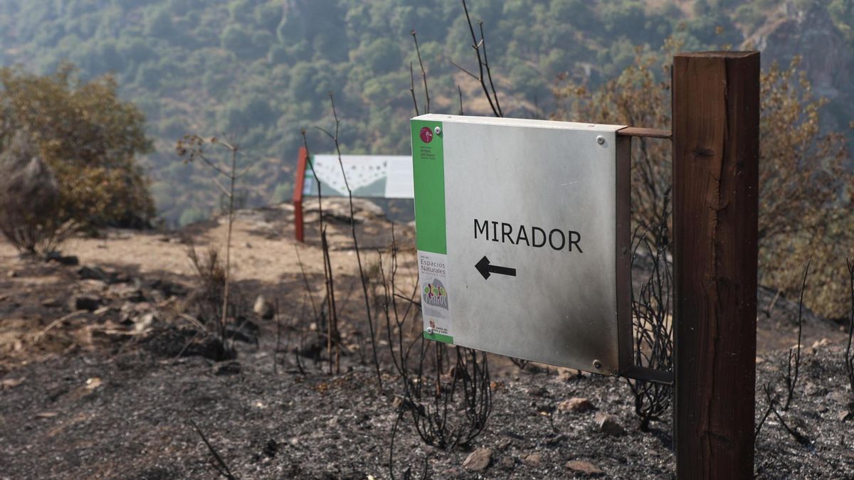 El incendio de Fermoselle baja de gravedad aunque el calor y el viento mantienen el riesgo de reactivaciones