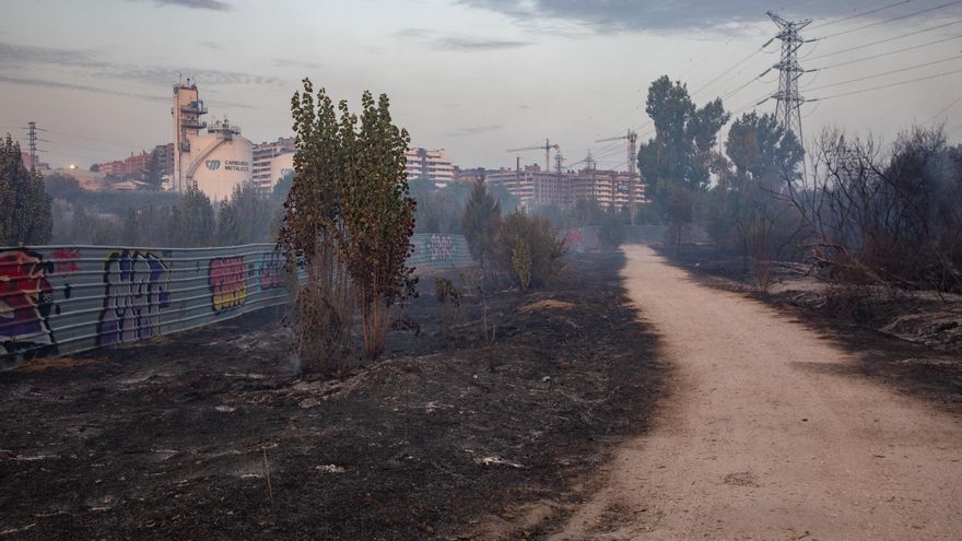 Campo quemado por el incendio, a 12 de agosto de 2025, en Tres Cantos, Madrid (España)