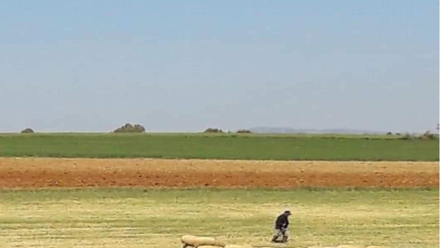 La soberanía alimentaria ante situaciones de crisis