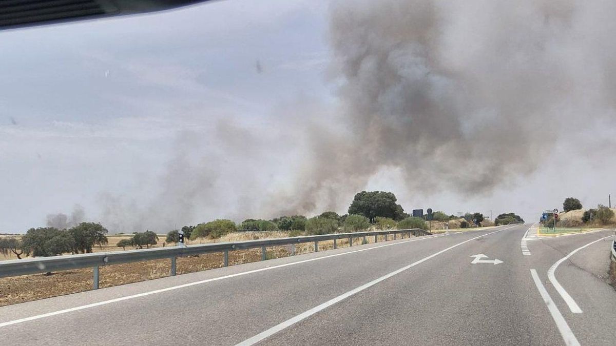 Imagen del incendio en Fuente Obejuna.