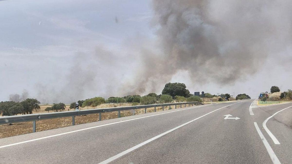 Declarado un incendio forestal en Fuente Obejuna