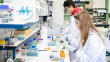 En la investigación de la vacuna contrael coronavirus trabajan también científicos españoles.