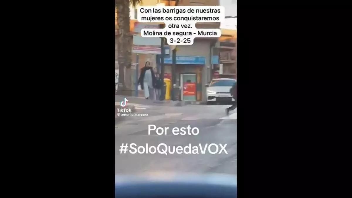 Captura del vídeo racista utilizado por el concejal de Vox en Molina de Segura