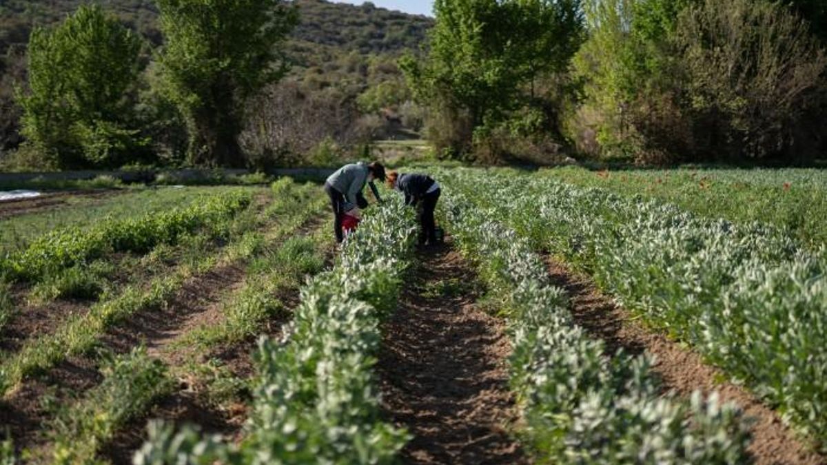 Huero en Perales de Tajuña