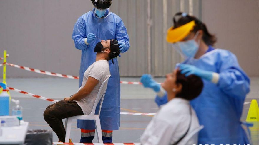 Realización de test covid masivos en el polideportivo de Almódovar del Río | MADERO CUBERO