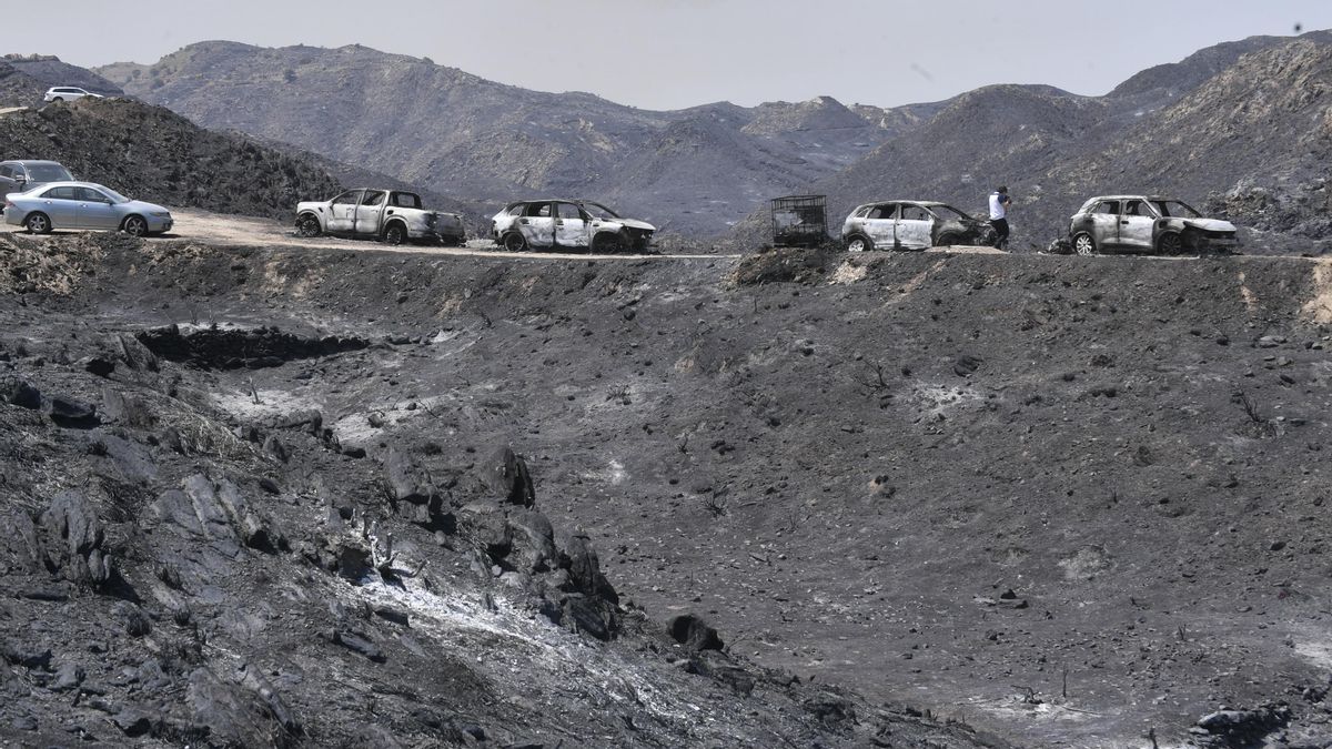 Varios vehículos calcinados en el incendio forestal en Los Gallardos.