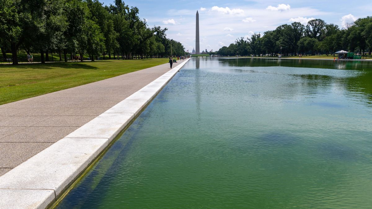 Trump chapotea en el estanque reflectante del Monumento a Lincoln, lleno de algas verdes tras una obra de 14 millones de dólares