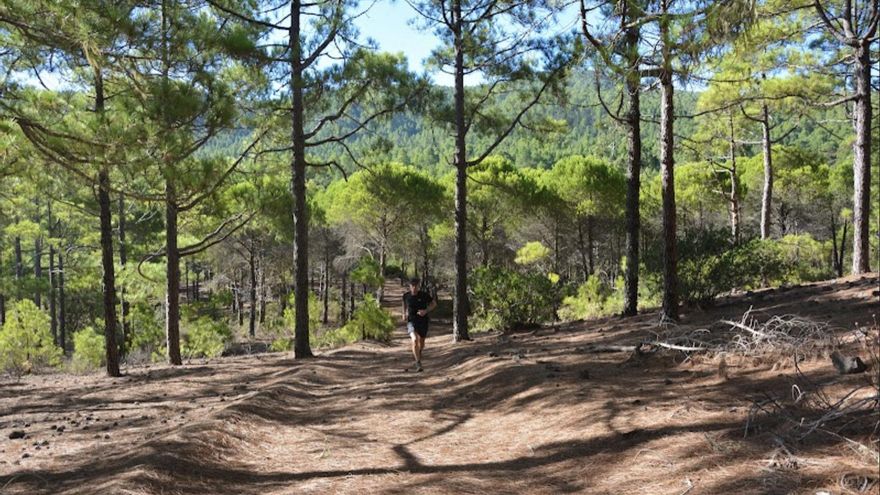 Tamadaba, Gran Canaria