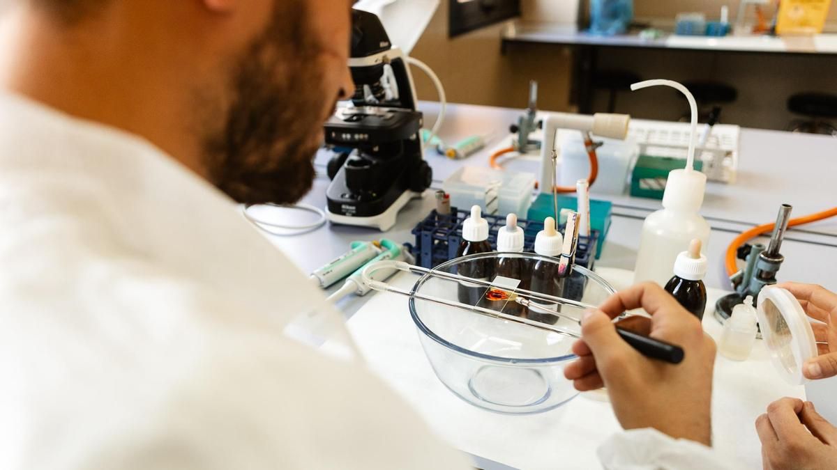 La Universidad de León lanza un máster pionero en fermentaciones aplicadas a alimentación y biotecnología