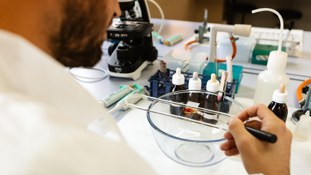 Laboratorio de tecnología de los alimentos de la Universidad de León.
