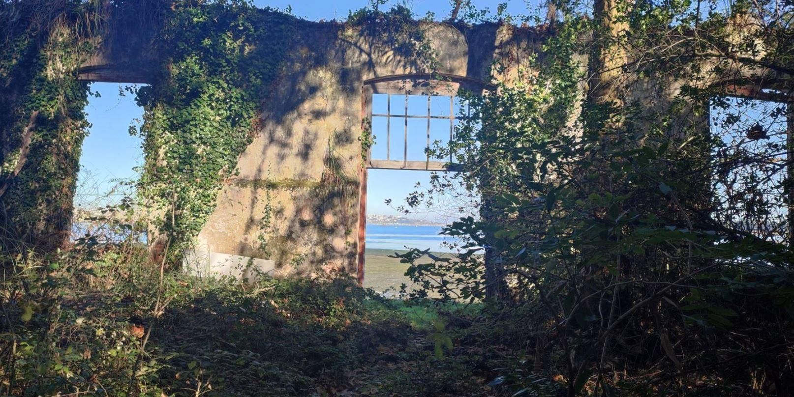 Ruinas de una de las construcciones de la isla de Pedrosa.