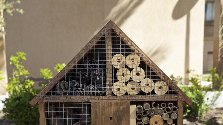 Instalan ocho 'hoteles' en la Universidad de Alicante para promover especies polinizadoras