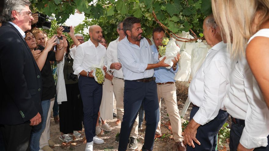 La injustificada guerra de l’aigua: més recursos del Xúquer per a Alacant, un Tajo-Segura permanent i rècord de regadiu