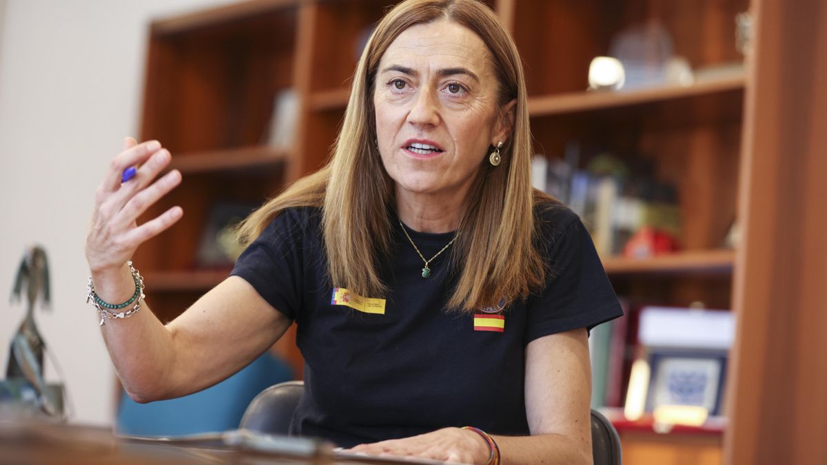 Barcones, durante la entrevista.