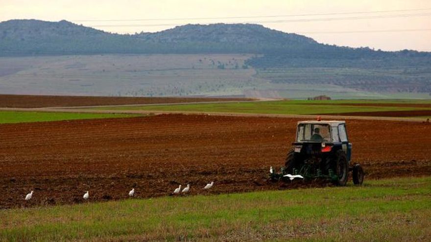 El Ministerio de Agricultura amplía el plazo de solicitud de ayudas para el programa Cultiva 2022 hasta el 30 de mayo