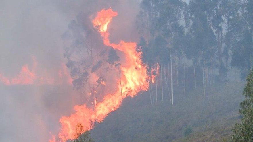 Imputado un hombre por un fuego de grandes dimensiones en la oleada de incendios de Asturias en marzo