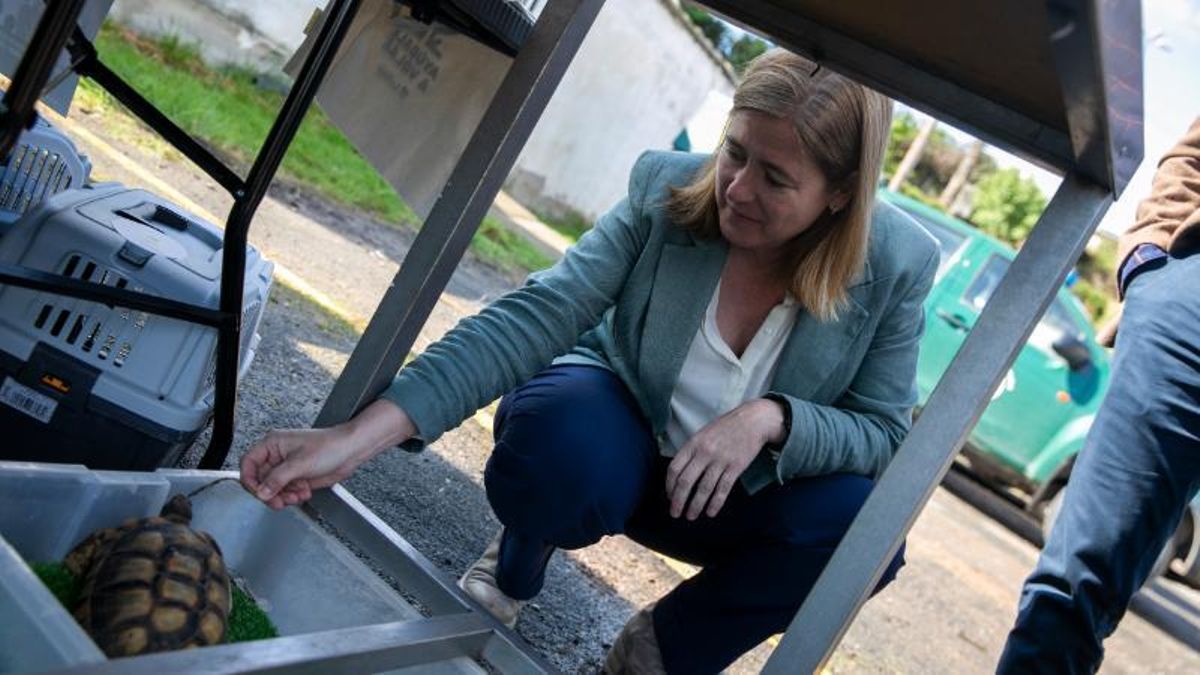 Sexta edición de Ayúdale a Volar