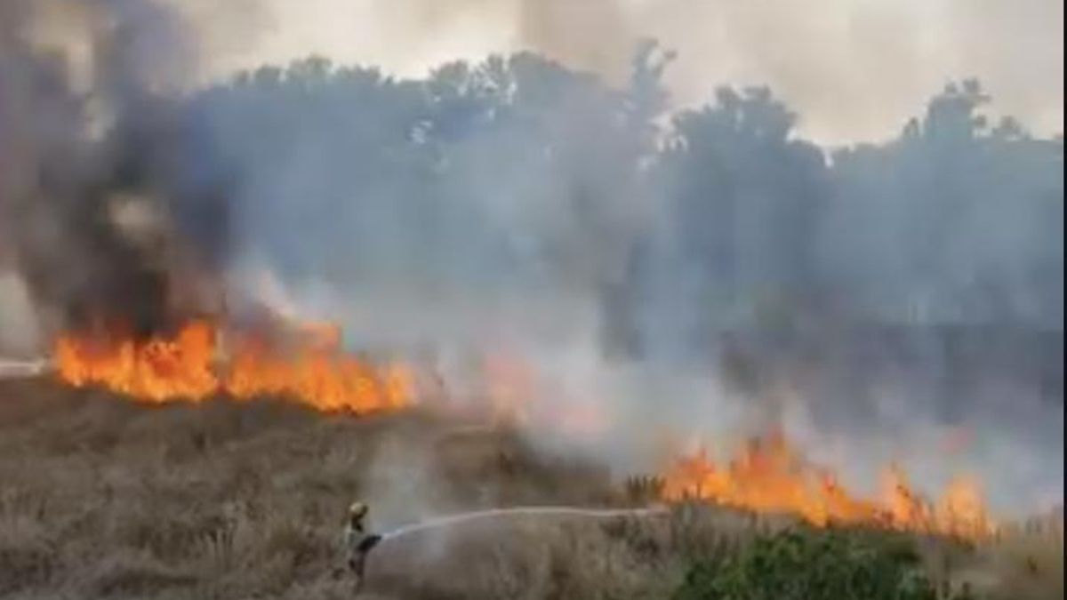 Incendio en las inmediaciones de las piscinas de Varea