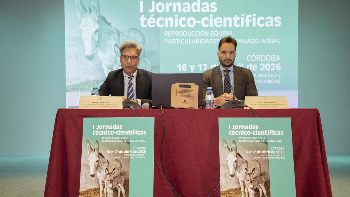 La Diputación acoge las jornadas científicas de reproducción equina