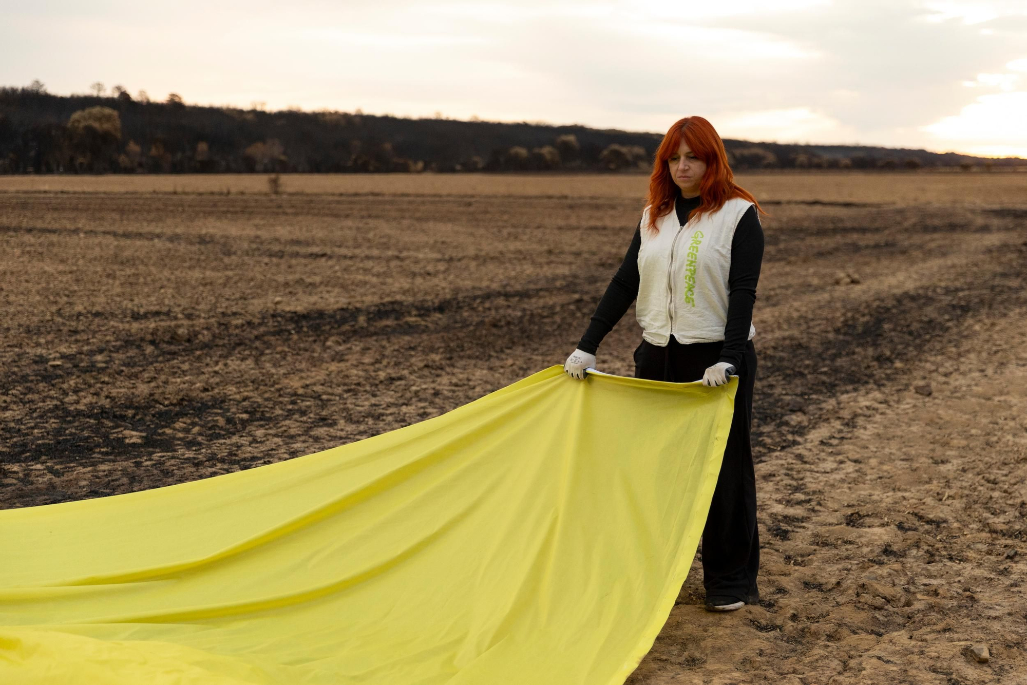 La devastación de los incendios del sur de León que impulsa la campaña internacional de Greenpeace