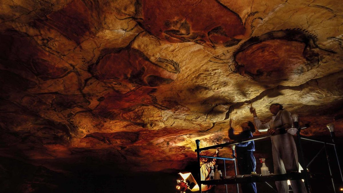 El Museo de Altamira mostrará en abril la importancia de los ciervos en el Paleolítico