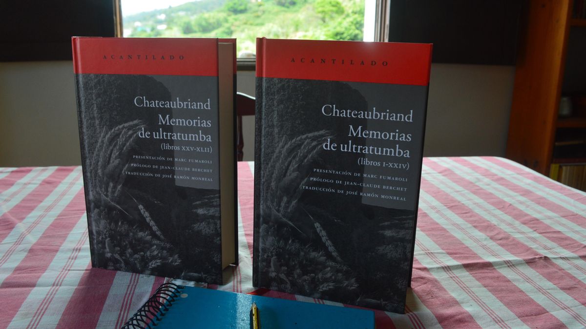 El libro del verano