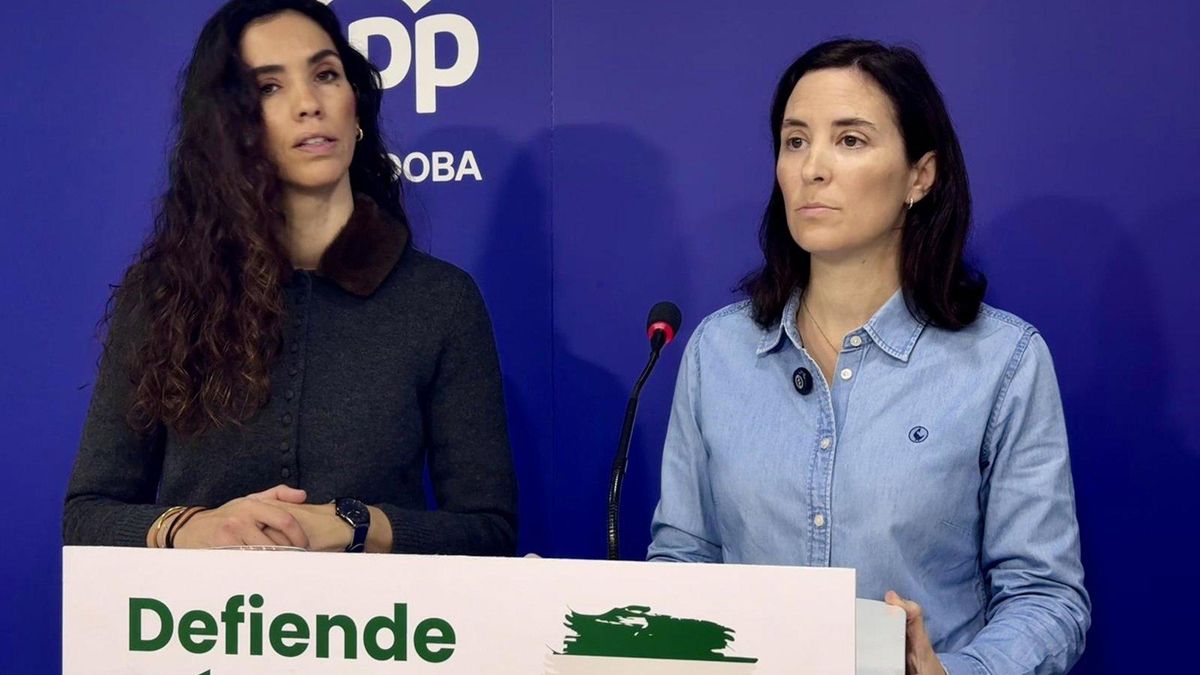 El PP exige al Gobierno información del estado real de las infraestructuras ferroviarias en Córdoba