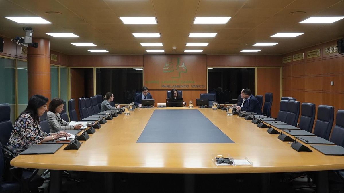 La ponencia de "calidad democrática" del Parlamento Vasco se fija un horizonte de trabajo hasta 2028