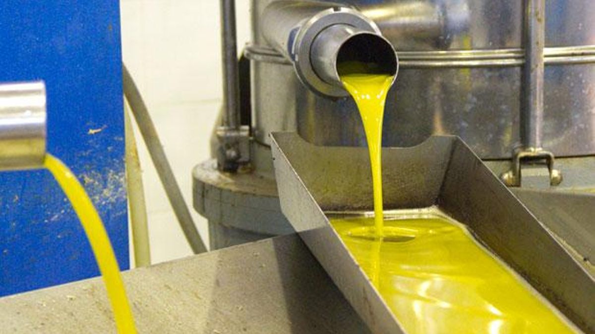 La Junta prevé que la producción de aceite de oliva sea un tercio superior a la del año pasado