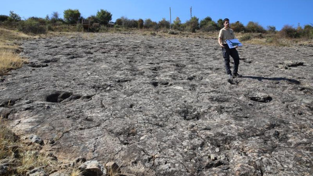 Más de 700 huellas fósiles únicas en Europa: La Rioja refuerza su patrimonio con la puesta a punto de ‘La Pellejera’