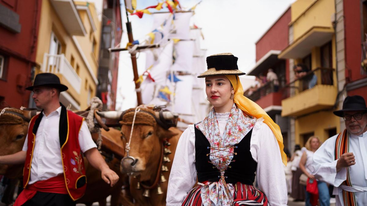 La Laguna se engalana para celebrar la romería regional en honor a San Benito Abad