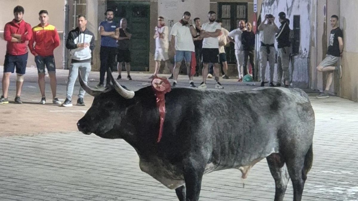 Imagen de los 'Sanjuanes' de Coria 2025