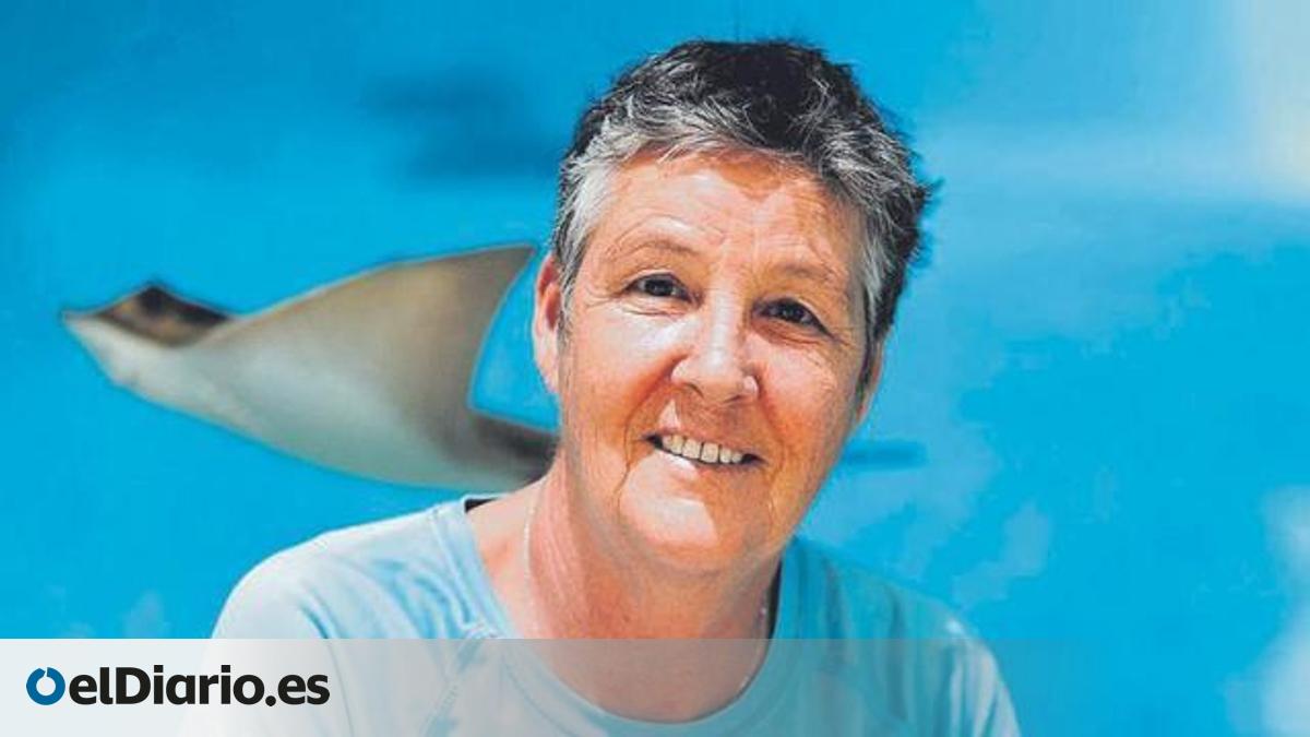 trabajar en España rescatando animales marinos