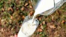 Diez preguntas en torno a la polémica por el aumento del consumo de leche cruda