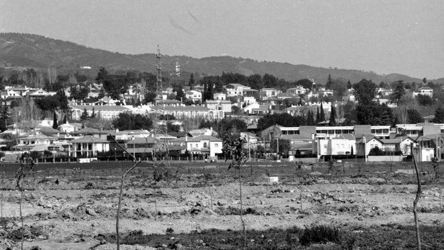 Huerto urbano en Córdoba en los años 70