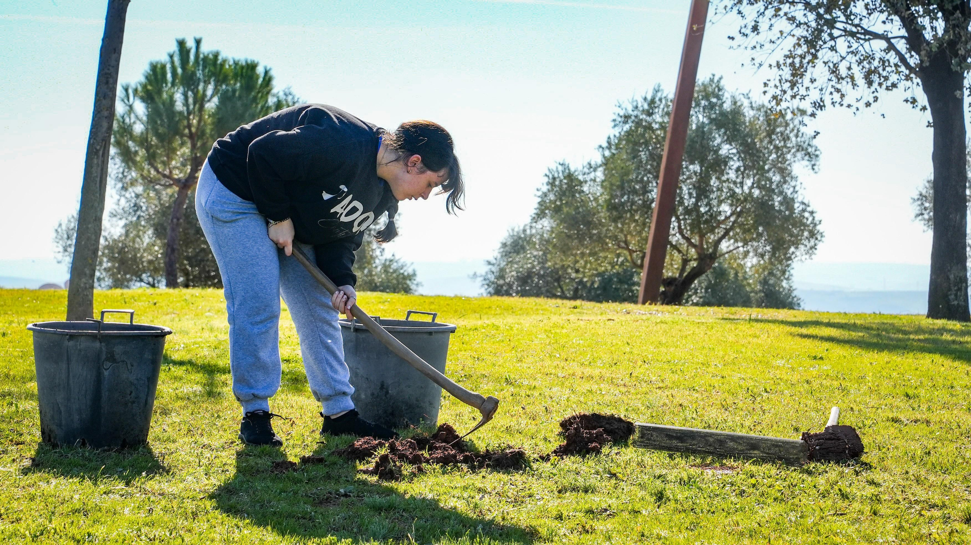 Primera plantación de EnArbolando Córdoba en La Asomadilla