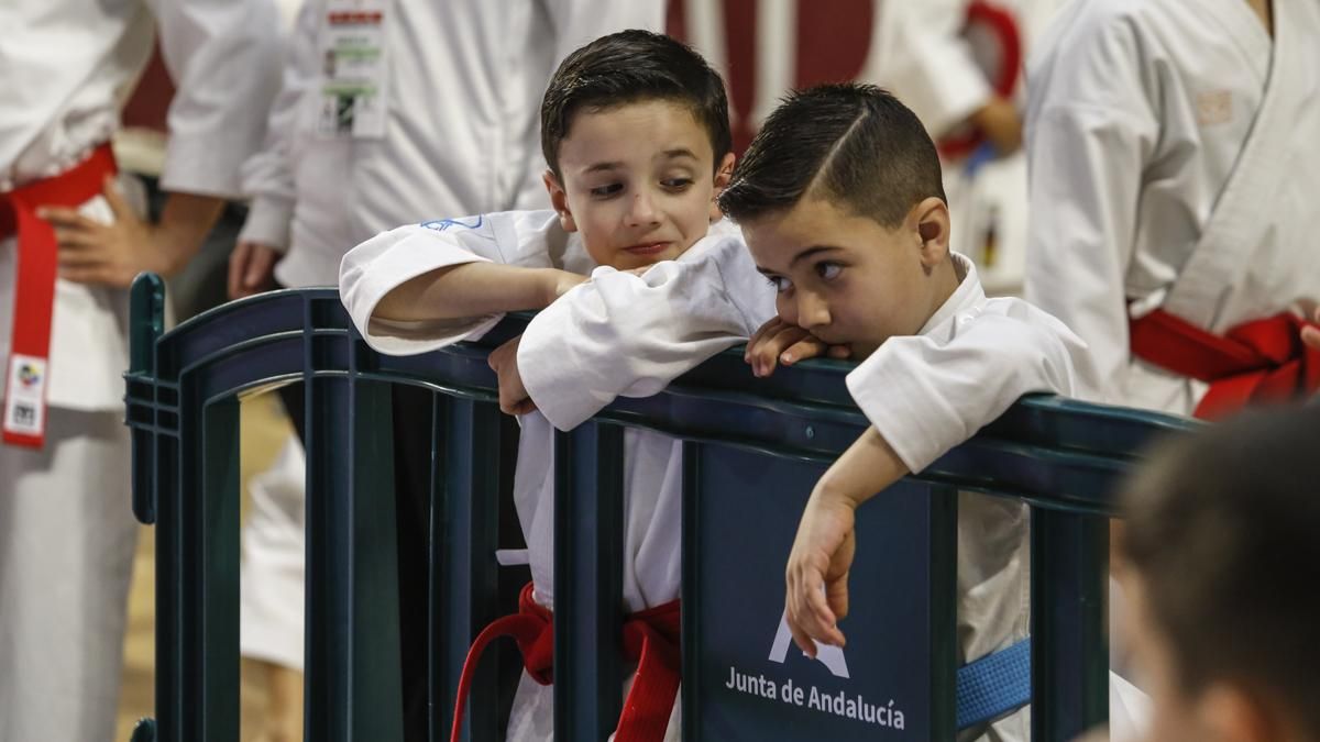 Campeonato de Andalucía infantil de kárate