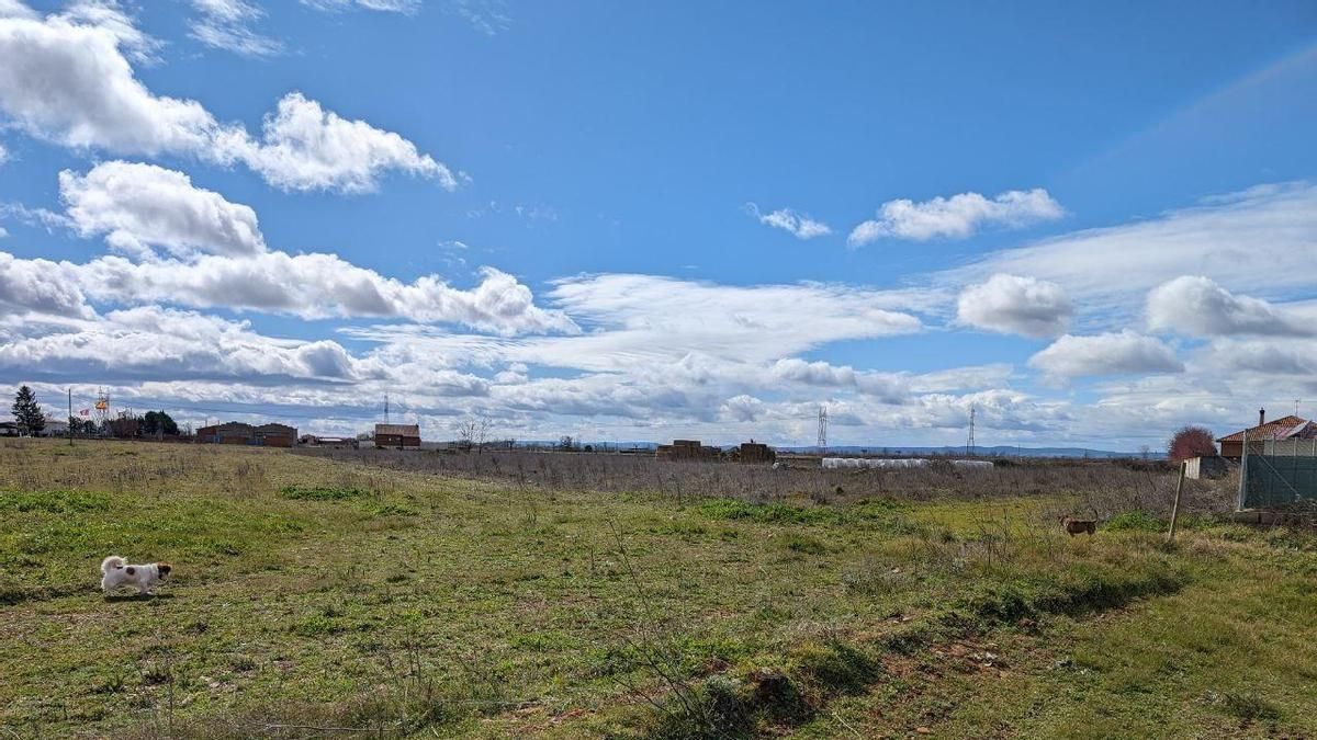 Cielo con nubes altas en un paraje de la provncia.