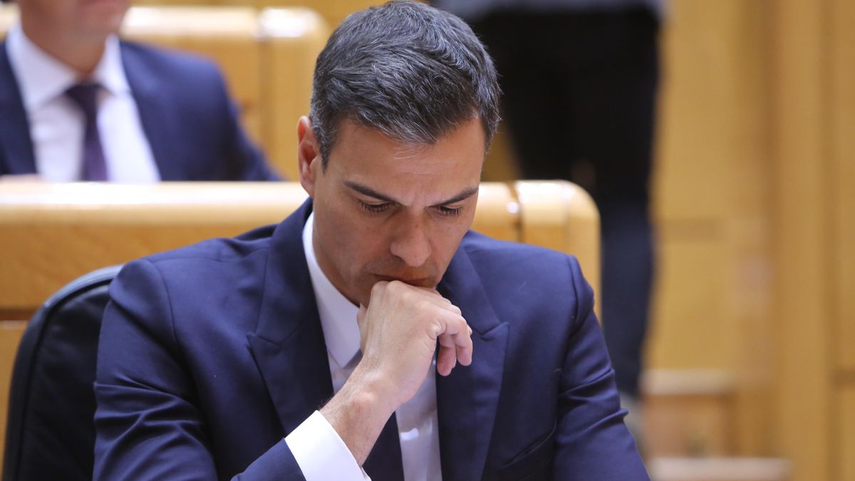 El presidente del Gobierno, Pedro Sánchez, en una sesión de control al Gobierno en el Senado.