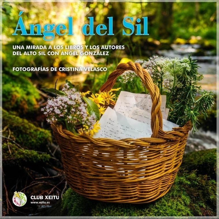 Portada Ángel del Sil