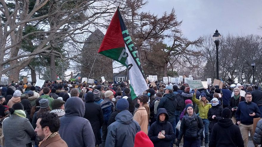 Detienen en EEUU a otra estudiante musulmana que publicó un artículo en favor de Palestina