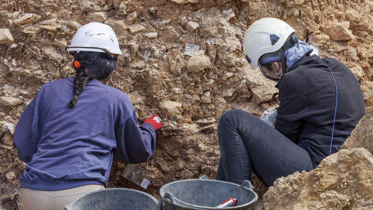 Excavaciones que se están realizando en el yacimiento de Gran Dolina, en Atapuerca