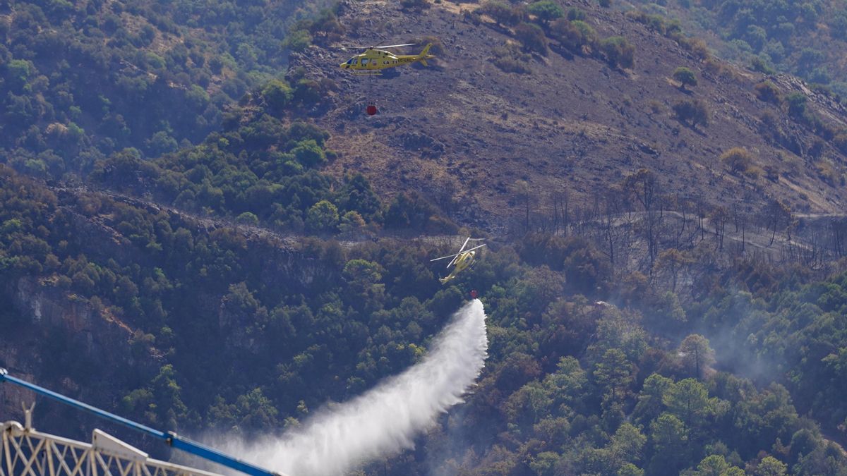 Medios aéreos en las labores de extinción del incendio forestal declarado en Benahavís (Málaga). Imagen de archivo.